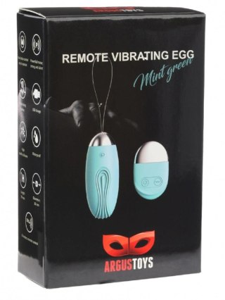 Remote Vibrating Egg Mint Green Argus - Boys of Toys Sp. z. o.o. (dystrybutor)