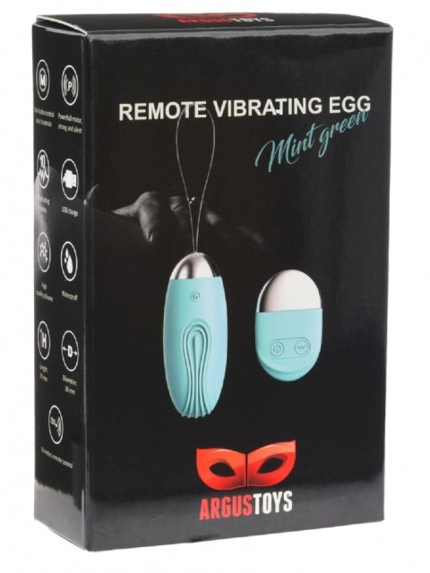 Remote Vibrating Egg Mint Green Argus - Boys of Toys Sp. z. o.o. (dystrybutor)