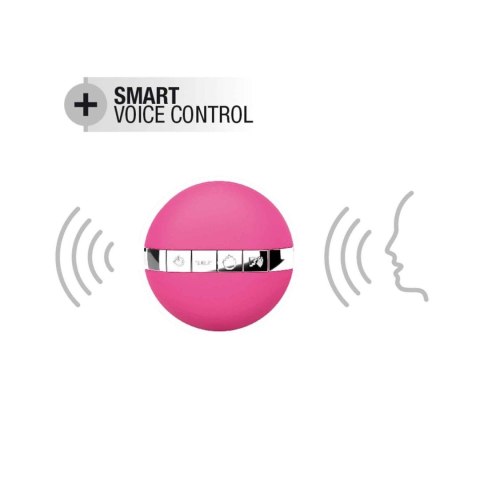 SECRET DELIGHT MAGENTA DORCELl - Lovely Planet