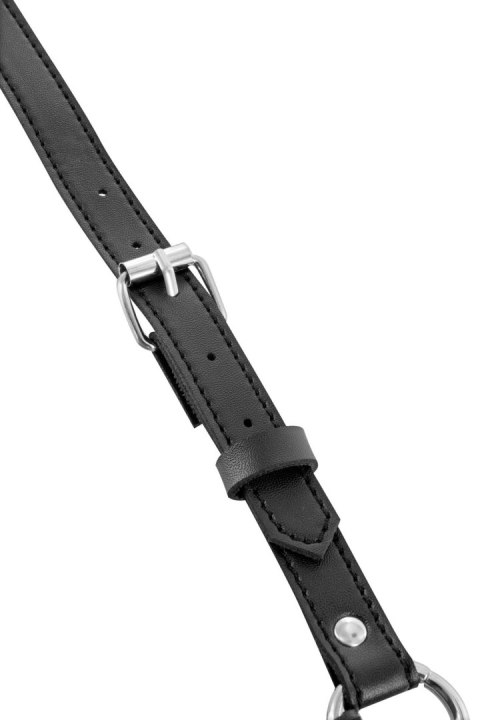 SEXY CHEST HARNESS WITH PICS Comcorde - SAS EDITIONS CONCORDE