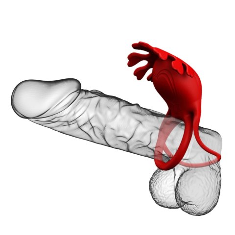 PRETTY LOVE - VIBRATION PENIS RING, Ruben, 7 vibration functions Baile - Boys of Toys Sp. z. o.o. (dystrybutor)