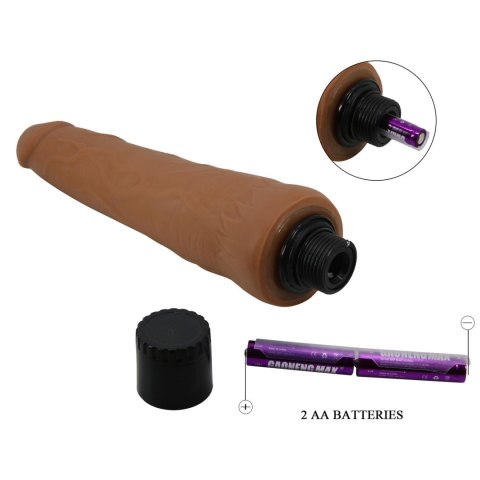 BAILE - Alfredo, 8.8"(250mm) Sliding Skin, Vibration Baile - Boys of Toys Sp. z. o.o. (dystrybutor)