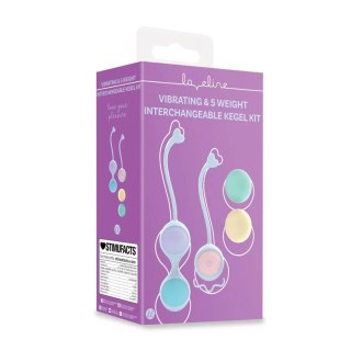 Vibrating and 5 Weight Interchangeable Kegel Kit with Remote Control - Purple SHOTS