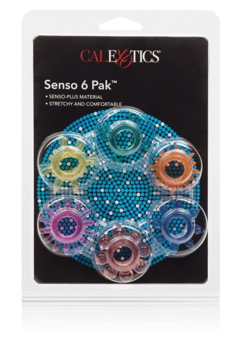 Senso 6 Pack Multicolor SCALA