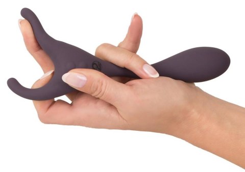 CC RC Couple's Vibr ORION