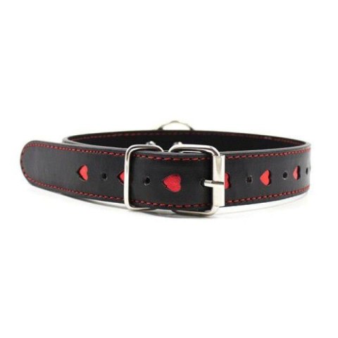 Easy Collar Leash black MSX Distribution S.r.l.