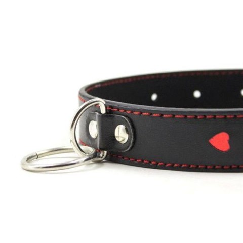 Easy Collar Leash black MSX Distribution S.r.l.
